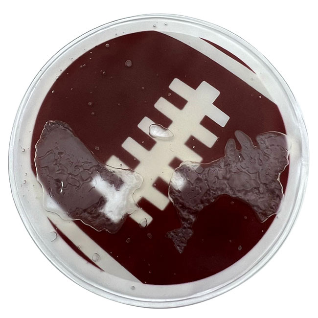 Iced Patch Deportivos AMERICANO - Imagen 2